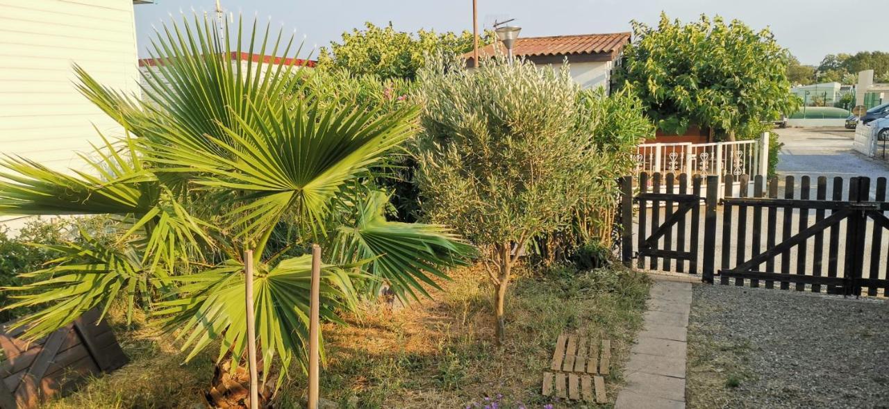 Chalet En Bois "Le Libellule" Sigean Dış mekan fotoğraf